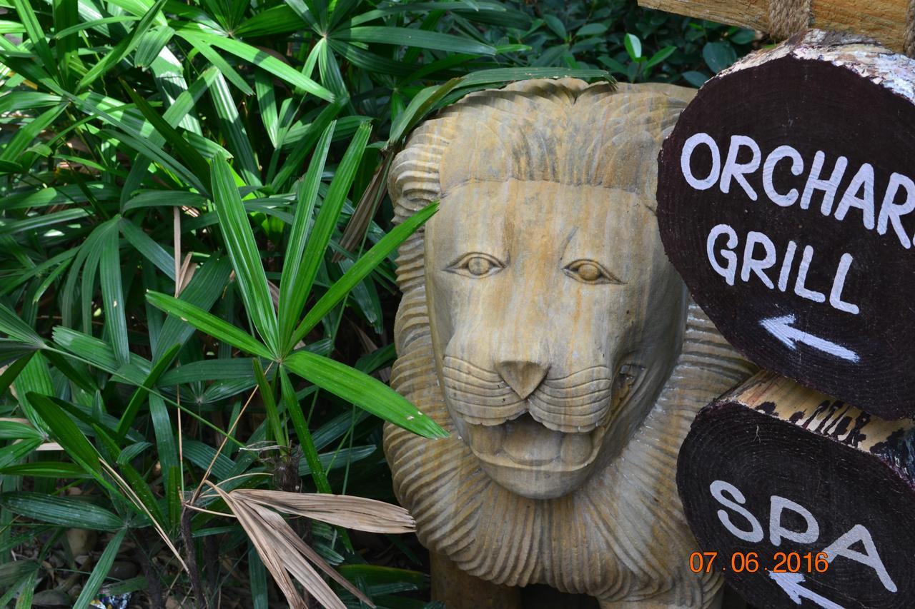 Corbett Wild Iris Spa And Resort Rāmnagar Extérieur photo